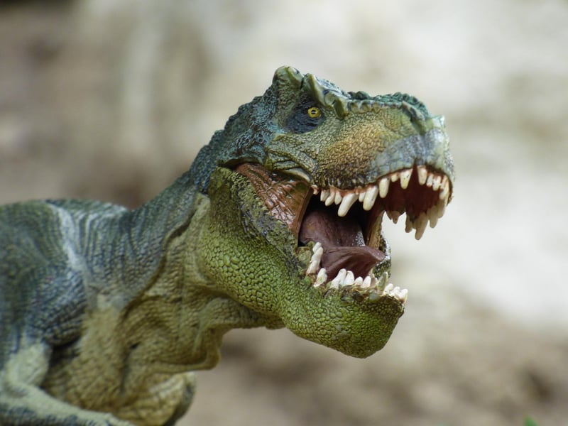 Time Travel Dinosaur